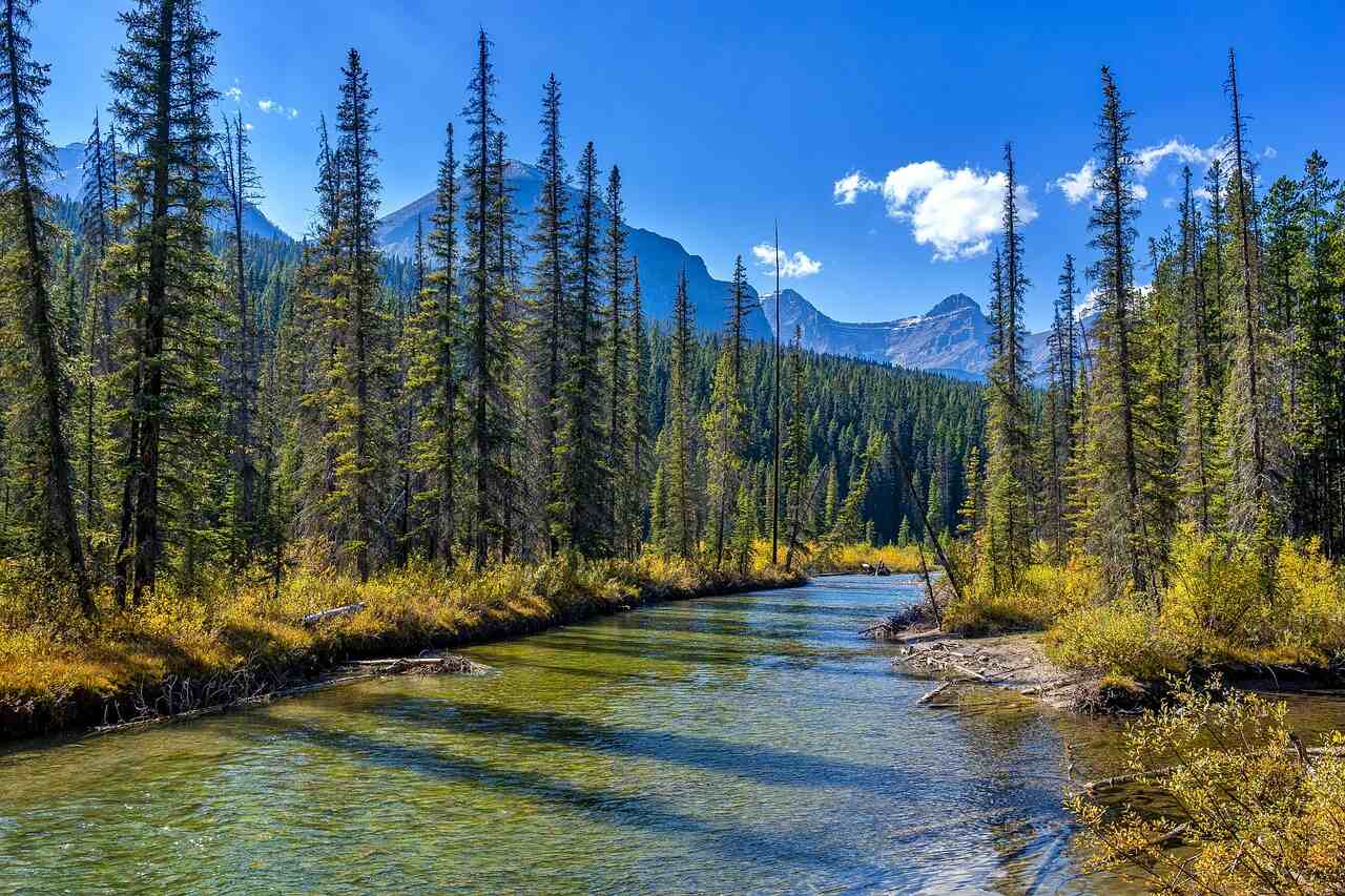how to get to jasper national park