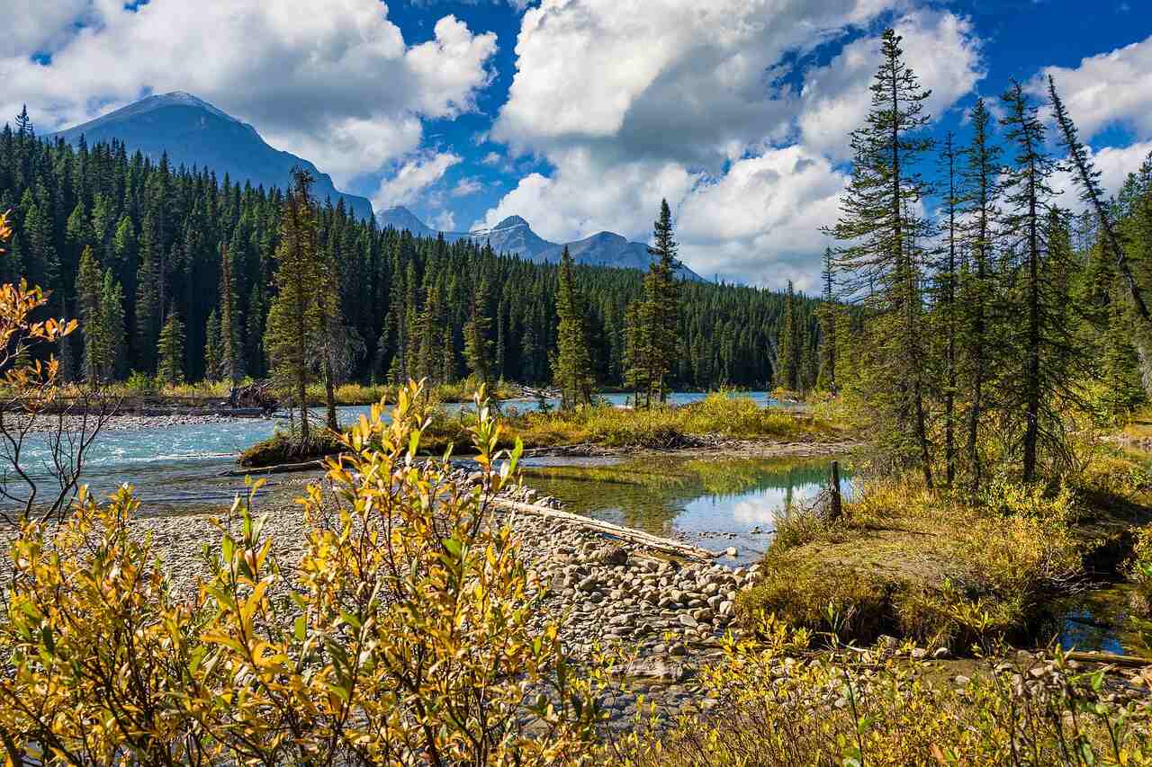 how to get to jasper national park
